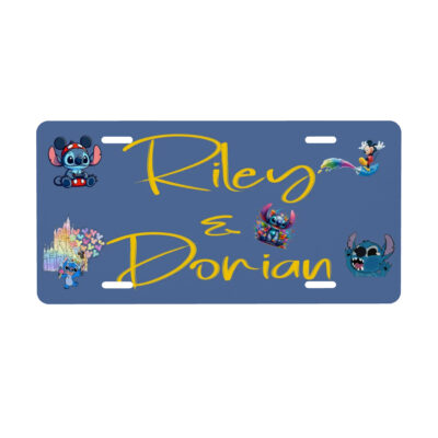 License plate example